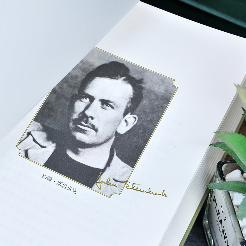 网格本:愤怒的葡萄 [正版]精装 愤怒的葡萄 (美)约翰·斯坦贝克著 网格本人文社外国文学名著丛书 中小学生课外阅读书高清大图