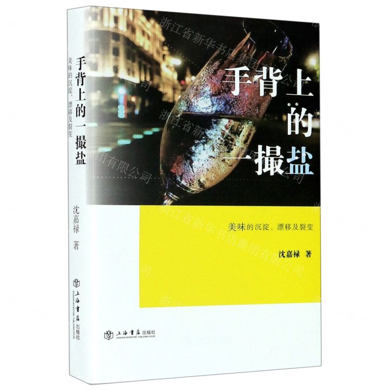 【N】手背上的一撮盐(美味的沉淀漂移及裂变)-9787545819533