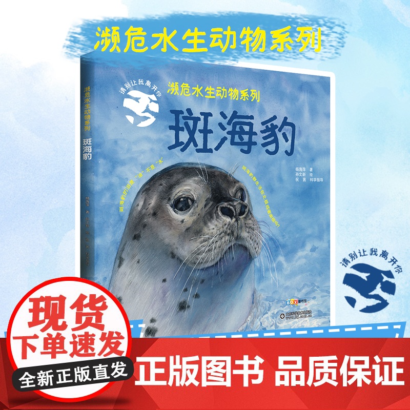 濒危水生动物系列——斑海豹高清大图