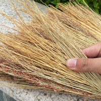 得力高粱扫把扫地扫帚高粱苗笤帚110cm 1把