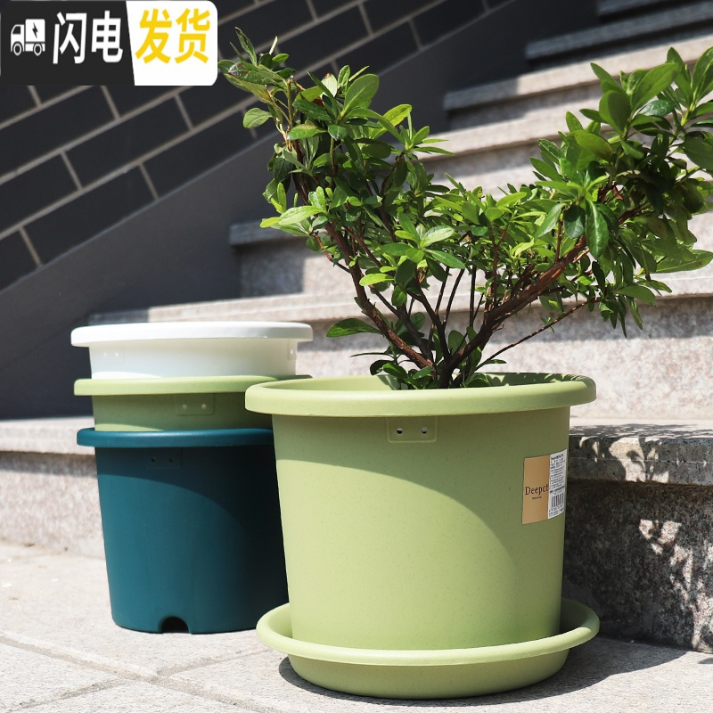 三维工匠加厚加仑盆树脂控根绿萝绣球月季种植盆爱丽丝圆口塑料花盆 5号浅型军绿(单花盆) 中等花盆容器