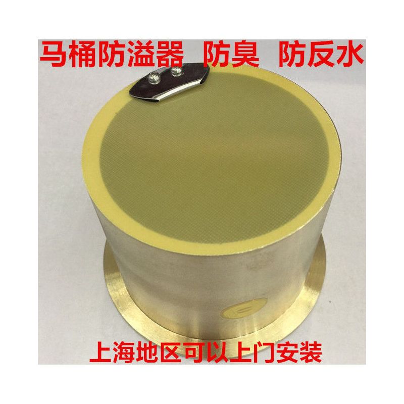 踊跃马桶防溢器防臭止逆阀铜止回阀防反水卫生间法兰防喷水