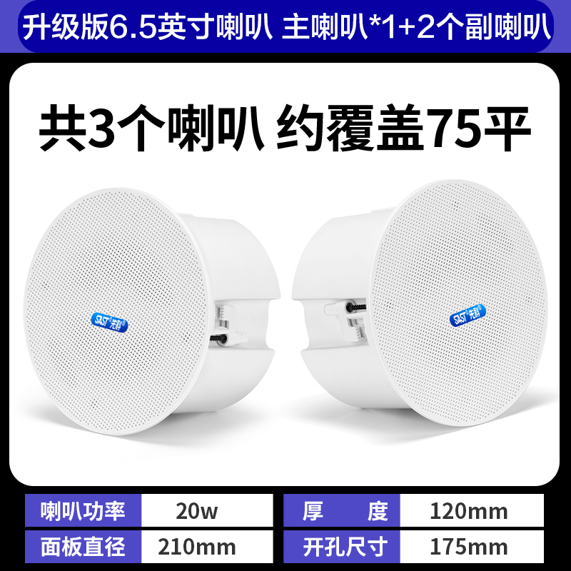 先科(SAST)G4 无线蓝牙吸顶音响吊顶天花喇叭套装家装商店铺餐厅超市家用重低音同轴一拖二