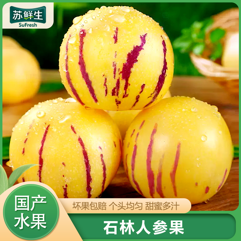 【苏鲜生】云南特产 石林人参果 精选 净重5斤 中果 单果50-70g 熟果 香甜可口 新鲜应季水果