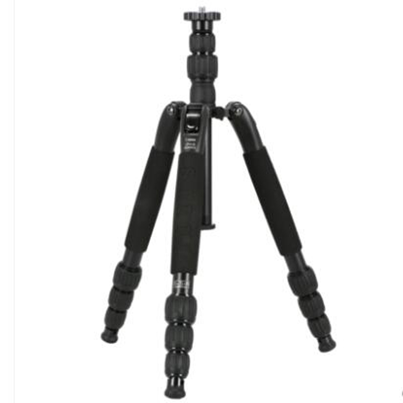 思锐(SIRUI)T-2204SK+G20KX三脚架 相机反折轻便携三角架碳纤维云台套装