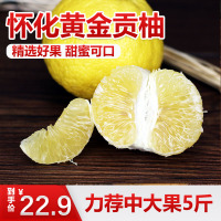 【苗家十八洞】 湖南怀化精选黄金贡柚 5斤装 单果径65-75mm左右 时令生鲜水果橘柚坏果包赔