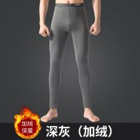 南极人男士秋裤保暖裤加绒加厚款紧身裤秋冬季打底裤 L100-120斤 加绒加厚款1条装深灰色