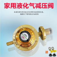 液化气减压阀家用煤气减压阀煤气罐阀门煤气瓶防爆安全减压 五层带钢丝燃气软管1米