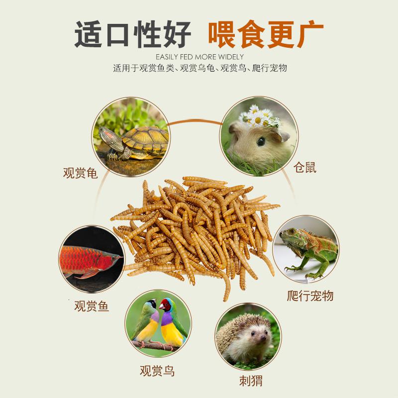 龙鱼饲料金龙红龙银龙大麦虫血鹦鹉鱼食罗汉热带鱼饲料面包虫高清大图