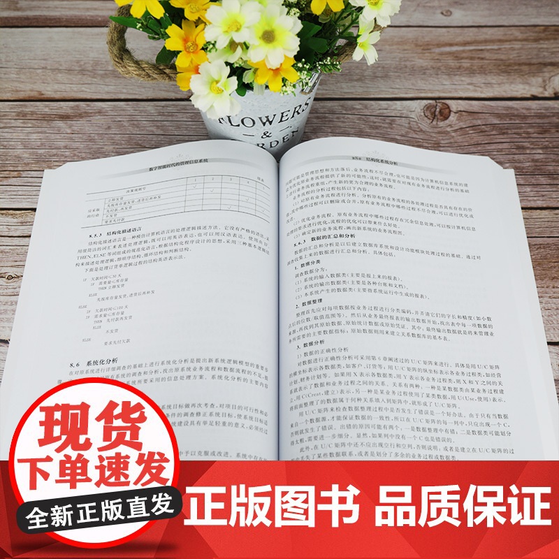 [正版]数字智能时代的管理信息系统 清华大学出版社 柳毅 企业管理信息系统数字化管理创新高清大图