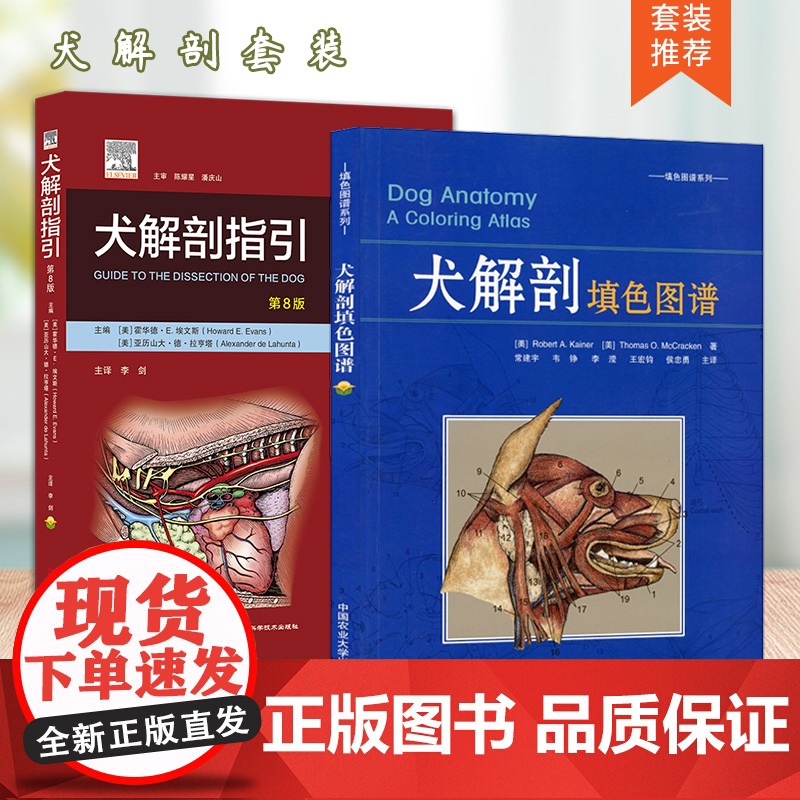 全新正版 套装 2本犬解剖填色图谱 犬解剖指引 第8版 9787565518225 犬猫解剖 小动物解剖指引 动物解剖书高清大图