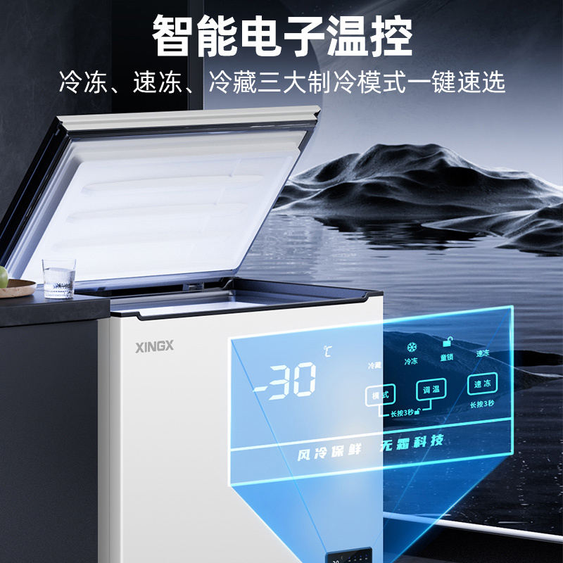 星星(XINGX)家用商用大容量风冷无霜一级能效节能冰柜单温冷藏冷冻转换柜超市便利店雪糕柜BD/BC-170WKE