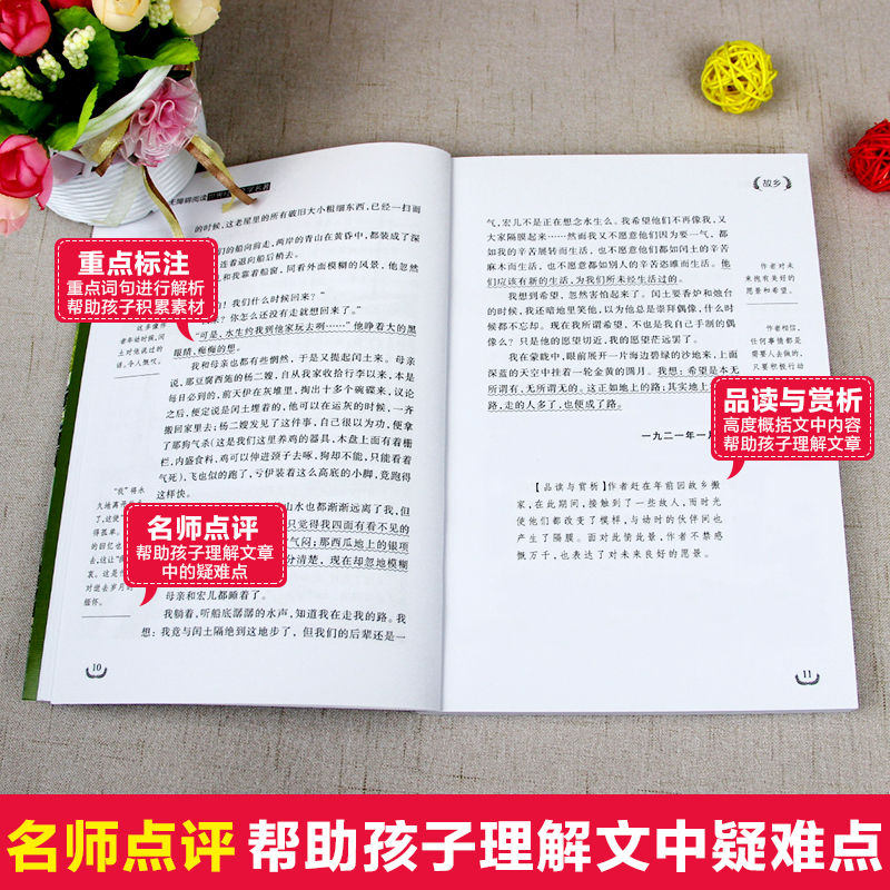 故乡 [正版]故乡鲁迅白话文小说全集少年闰土鲁迅的书散文集杂文集语文无障碍阅读儿童文学青少年版必读小学生三四五六年级课外高清大图