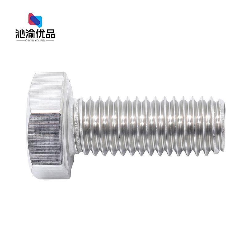 沁渝优品 不锈钢外六角螺丝 M6*30 个