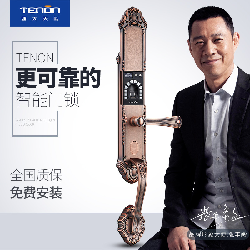 亚太天能(TENON)智能指纹锁 锌合金家用指纹密码锁电子门锁 F3b K金