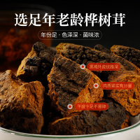 SUN CLARA白桦树茸养生茶可搭配桑黄灵芝