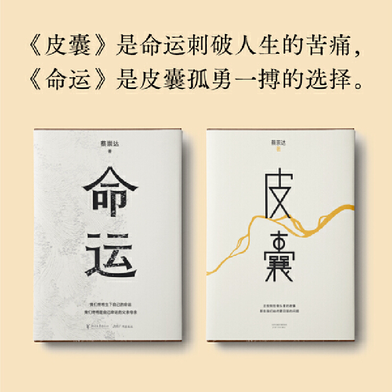 [正版] 书籍 蔡崇达作品套装全2册皮囊+命运蔡崇达小说散文集中国现当代文学书讲述闽南沿海小镇几代人的人生故事
