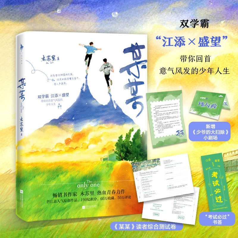 某某小说 木苏里江添vs盛望双男主青春文学校园甜宠小说一级律师 某某