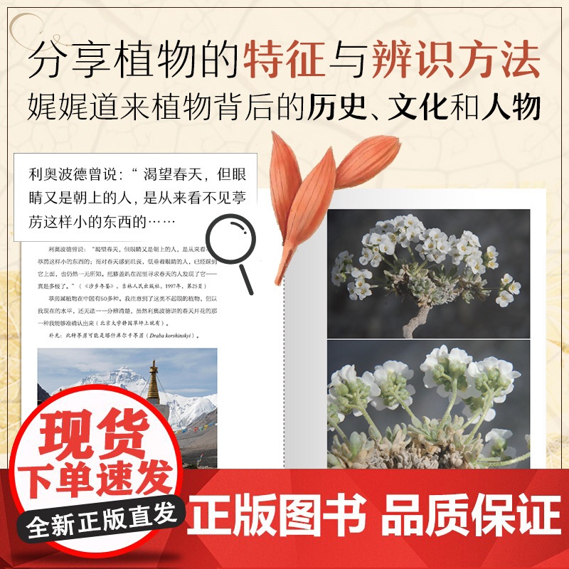 天涯芳草 带读者多识草木之名 欣赏自然之美 踏上博物之路高清大图