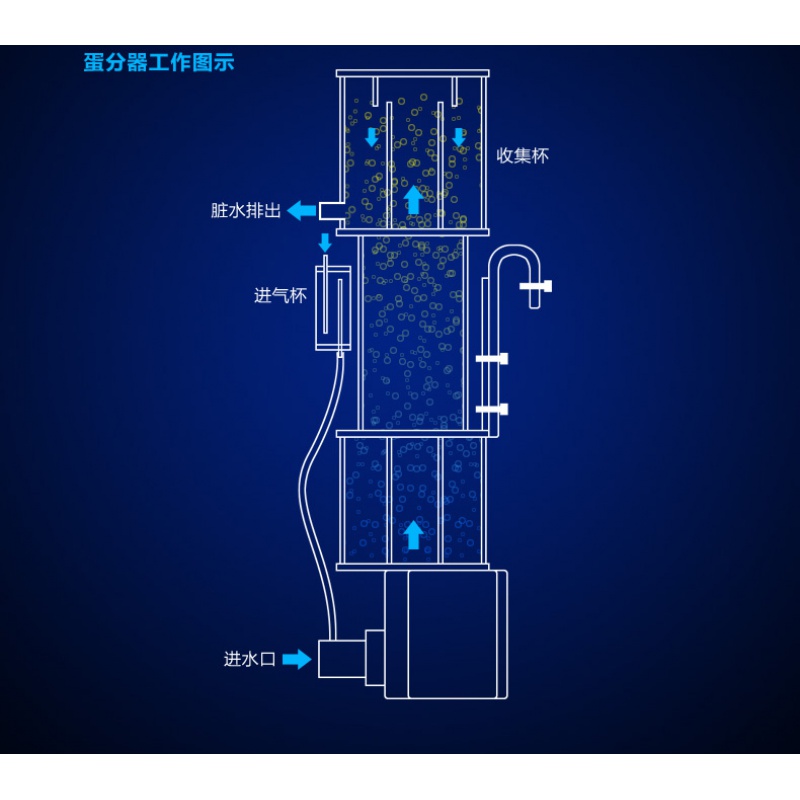 海水缸蛋分蛋白分离器海水鱼配件化氮器小型迷你型蛋白质分离器高清大图
