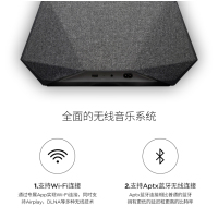 DYNAUDIO 丹拿 Music3 蓝牙无线音响音响 扬声器扩音器 迷你便携式手机音箱airplay 水墨灰