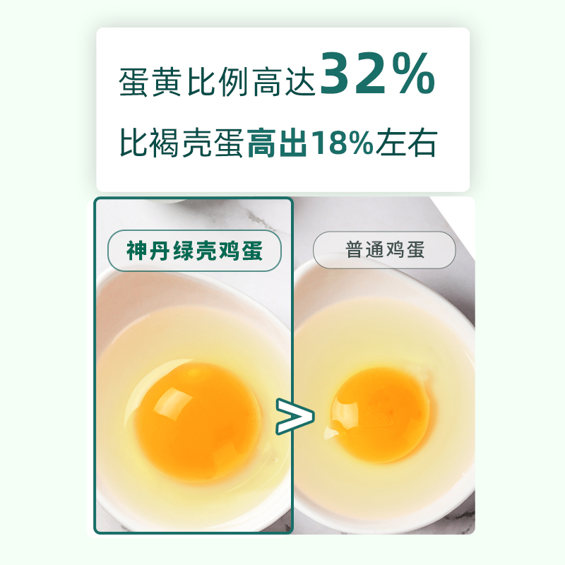 [神丹]绿壳鸡蛋可生食保洁蛋 20枚 黑鸡绿蛋新鲜散养鲜鸡蛋保洁蛋高清大图