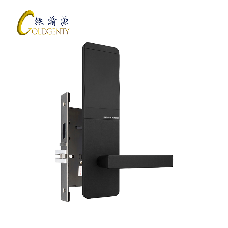 铁渝源 智能刷卡门锁 GT-1019/把高清大图