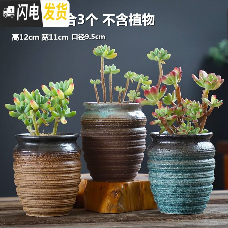 三维工匠粗陶老桩透气创意个性花盆陶瓷肉肉植物多肉花盆大号室内 器器组合6个 大花盆容器