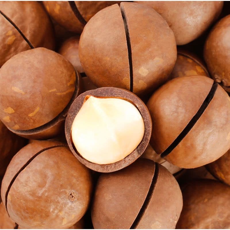 臻味 澳洲夏威夷果 500g 瓶图片