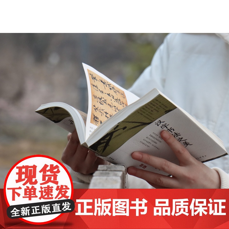汉字书法之美 汉字书法 为什么是美的 写给每个中国人的书法美学 蒋勋写给你的极简书法史 经典全新修高清大图