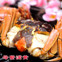盘锦河蟹 刘力河蟹稻田蟹 盘锦鲜活大河蟹 全母2.2-1.5两8只 大闸蟹礼盒 个个保 肥 不肥退款 死蟹包赔