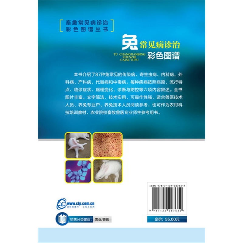 [正版]兔常见病诊治彩色图谱 养兔技术大全养殖技术书肉兔科学养殖书籍农业畜牧兽医专业圈养兔病预防与诊治野兔饲养养殖高清大图