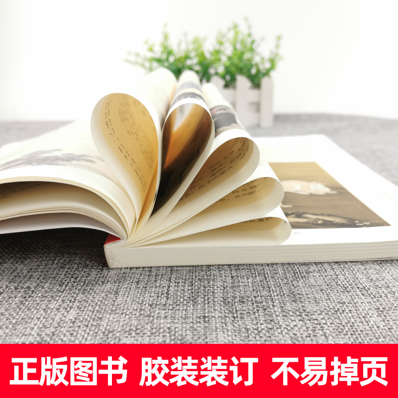 [3册]小古文100篇+古诗词169首+文言文100 小学通用 [正版]新编小学生小古文100篇一年级二年级三四五六人教高清大图