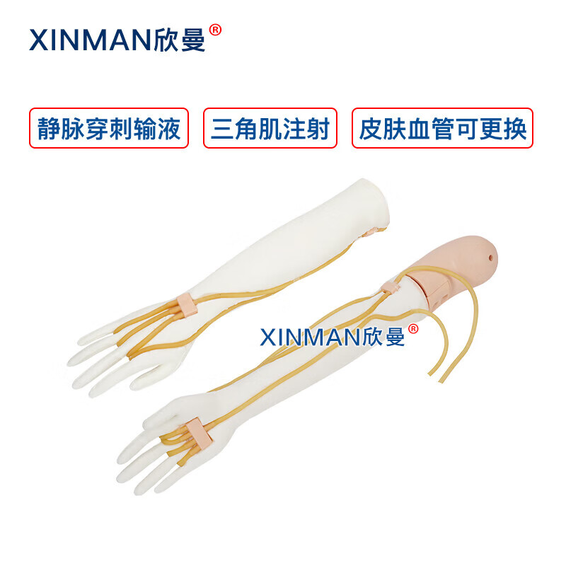 欣曼科教 静脉输液模拟训练模块 手臂静脉穿刺输液及肌肉注射模型 配备可更换的模拟皮肤和血管XM-S1011高清大图