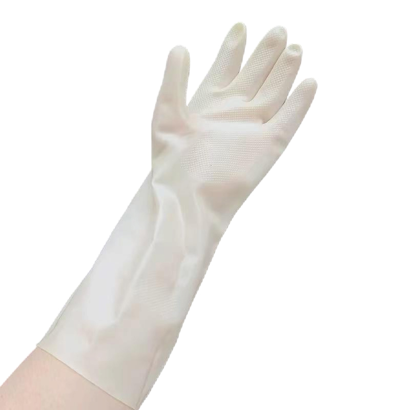 铂锜澳手套L双 L 10双