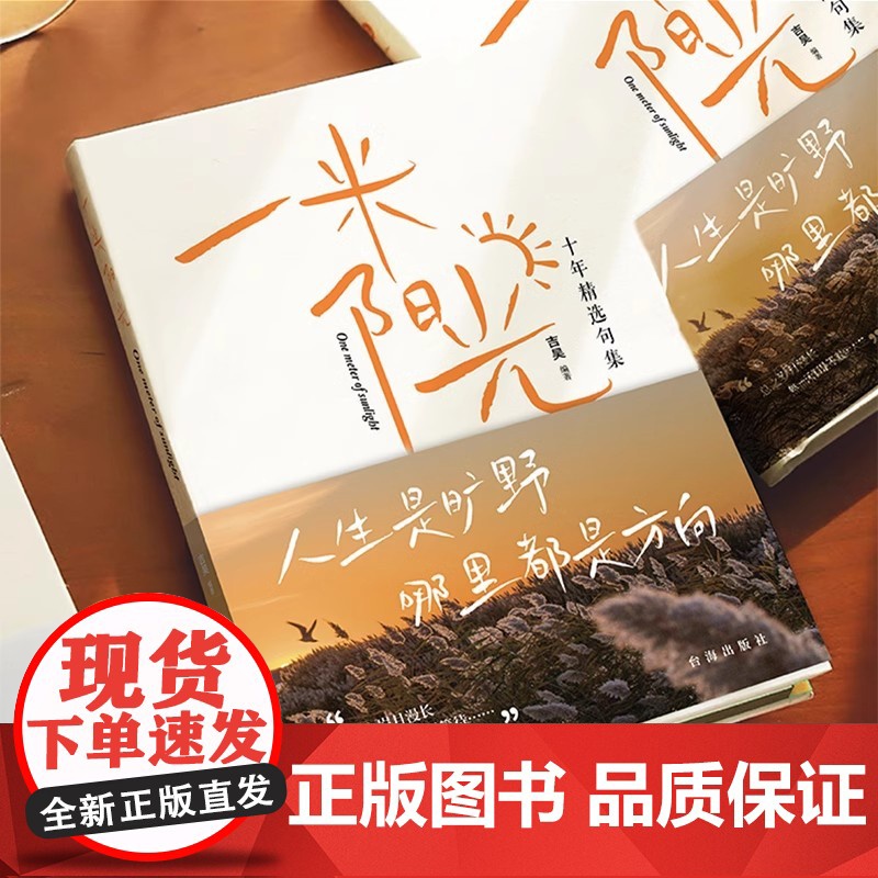 抖音同款]一米阳光正版书籍 人生是狂野 那里都有方向一千多条触心文案我们在迷茫中向往也在迷茫中成长经典暖心疗愈十年精选句高清大图