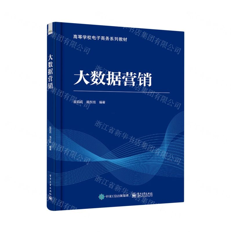 [N]大数据营销(高等学校电子商务系列教材)-9787121455964高清大图