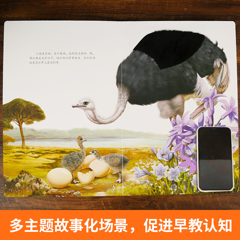[醉染正版]宝宝的第一本触摸书婴幼儿早教触摸书感官刺激绘本那么大地板书1岁撕不烂立体儿童读物0到2岁3岁益智启蒙看图认知高清大图