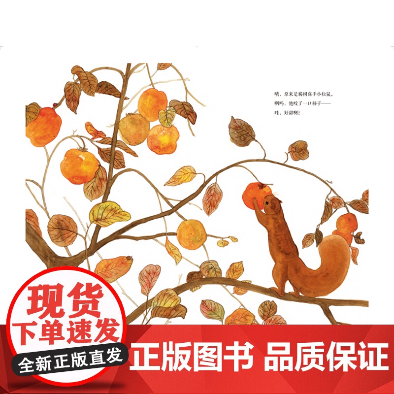 东方娃娃绘本精装《柿子熟了》幼儿园中班大班读物3-8岁儿童图画书睡前故事书亲子阅读书籍 DF高清大图
