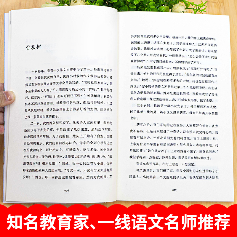[正版]第一次盼望 史铁生 著 6年级 小学语文教科书同步阅读 家史铁生献给孩子们的童年之歌追寻成长的动人往事 感恩生高清大图