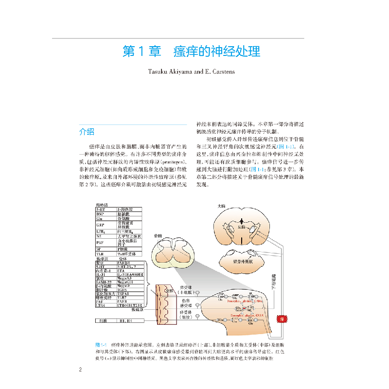 醉染图书瘙痒(翻译版)9787117327008高清大图