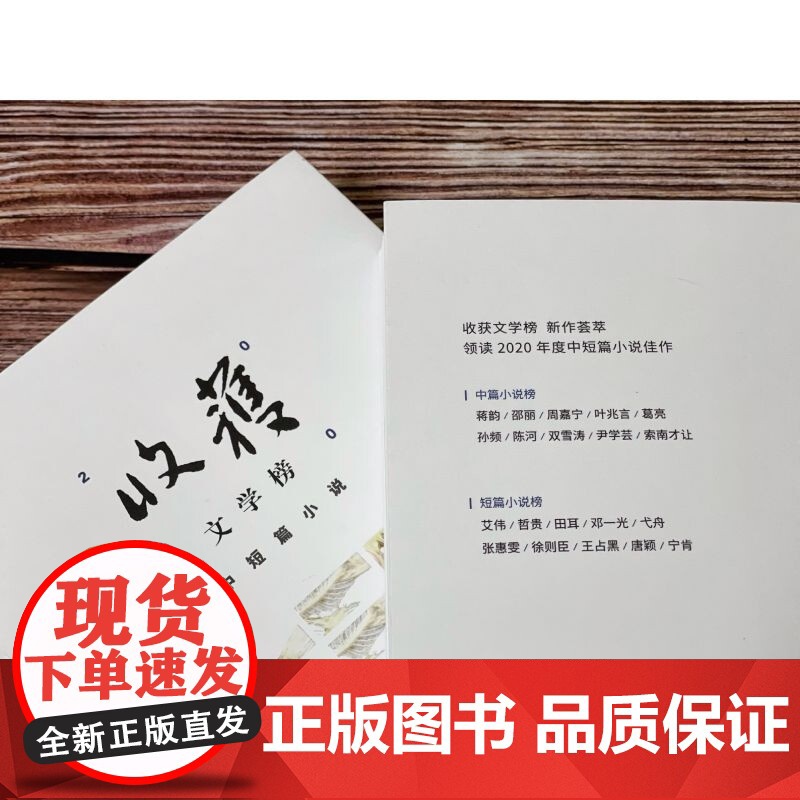 收获文学榜2020中短篇小说 《收获》文学杂志社 著文学高清大图