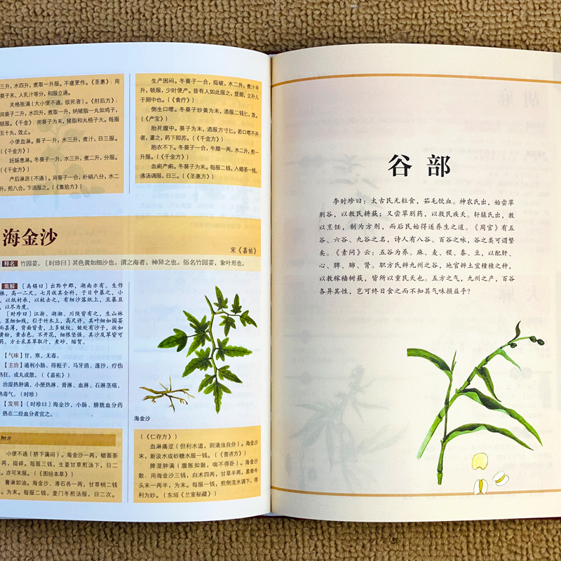 [正版]彩绘版布面精装本草纲目中医名著国学金典李时珍原版原著彩图版白话文养生书图文对照中医中草药中药大全书籍中国医书典