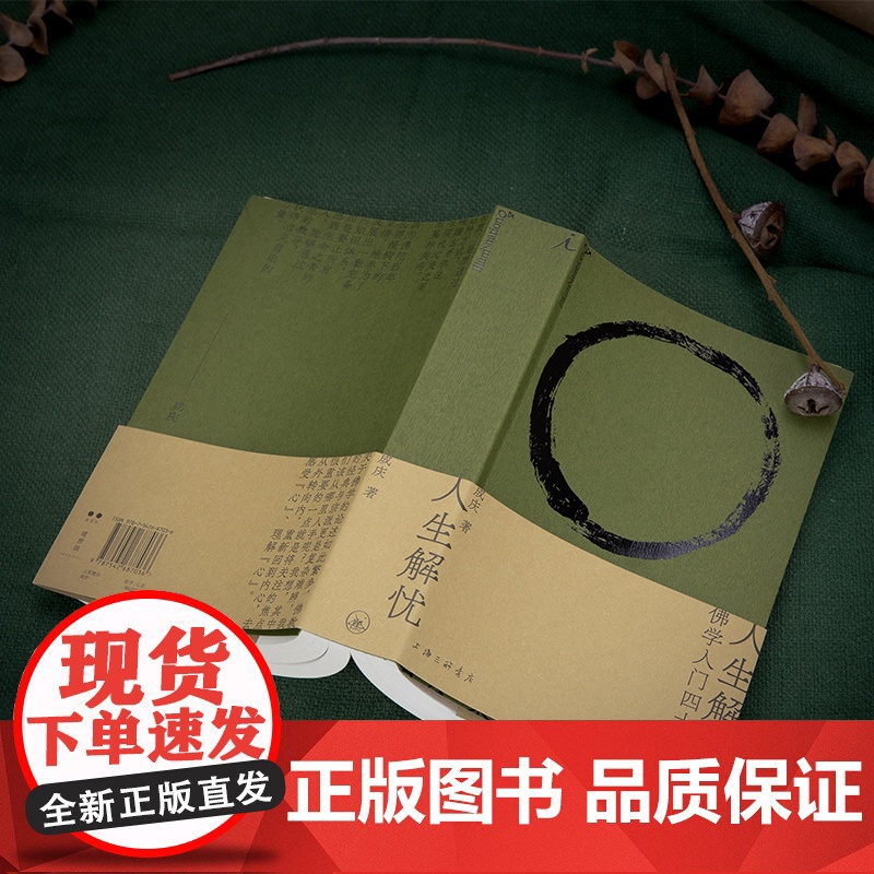 理想国 | 人生哲学 人生解忧:佛学入门四十讲 成庆 用佛学智慧回应现代人的心灵困境 大哲学家思想家 存在与时间读本 打高清大图