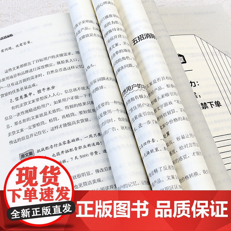 卖货文案与营销策略:文案有术,策略有道,让产品自己说话高清大图