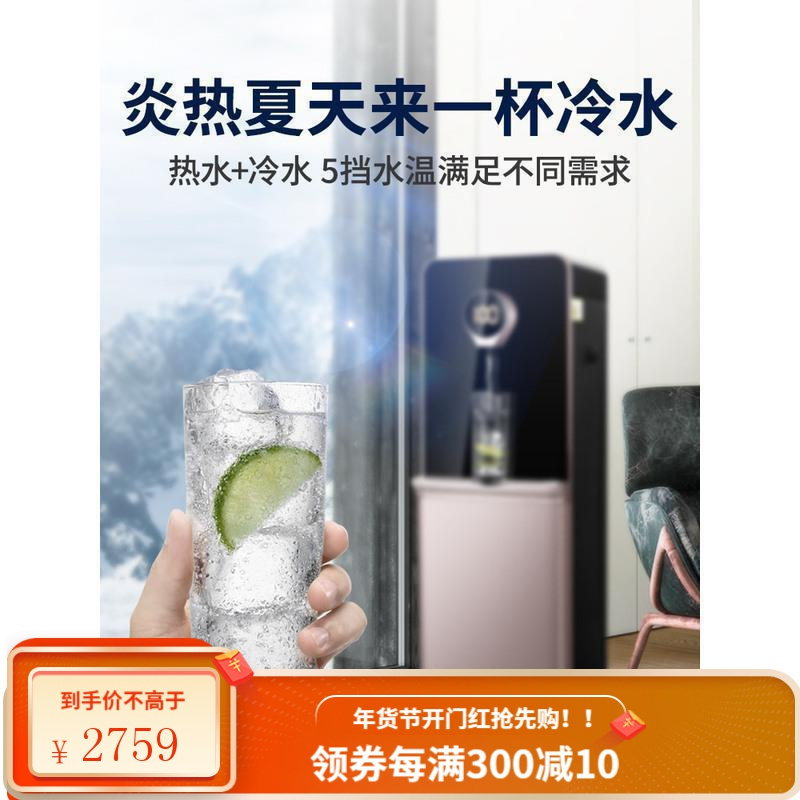 爱华普立式净水器过滤饮水机直饮家用加热一体机冷热即热式净水机 冰热款超滤机