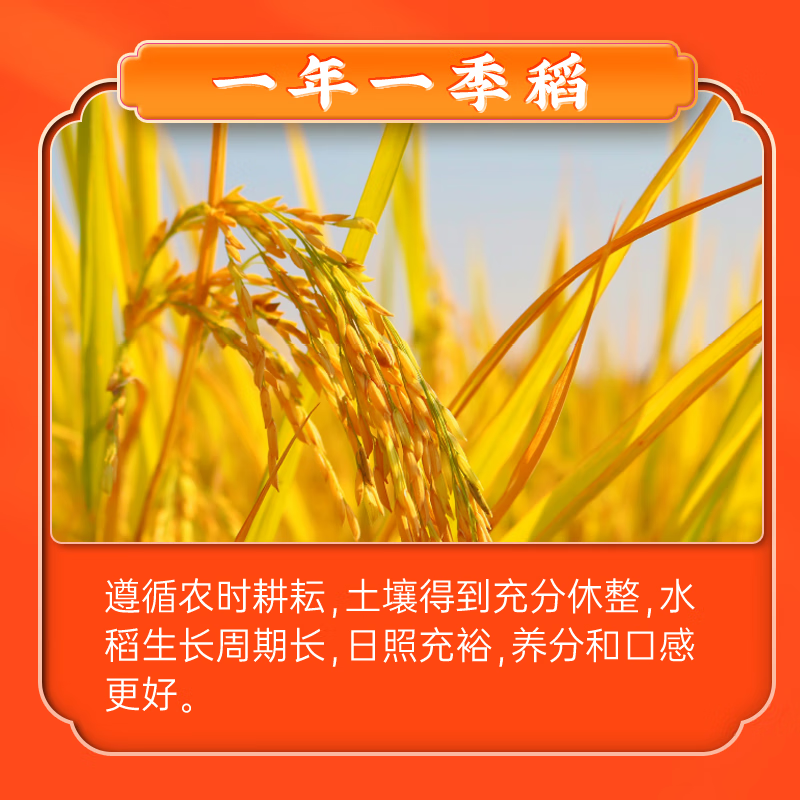 隆平芯米 辽河长粒香米 一级东北大米 真空包装 5kg(单位:袋)高清大图