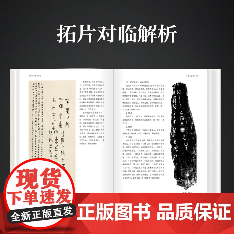 甲骨文临摹与创作刘颜涛编著李刚田刘钊联袂拓片对临解析甲骨文金文安阳毛笔书法字帖软笔篆刻金文篆书河南美术出版社高清大图