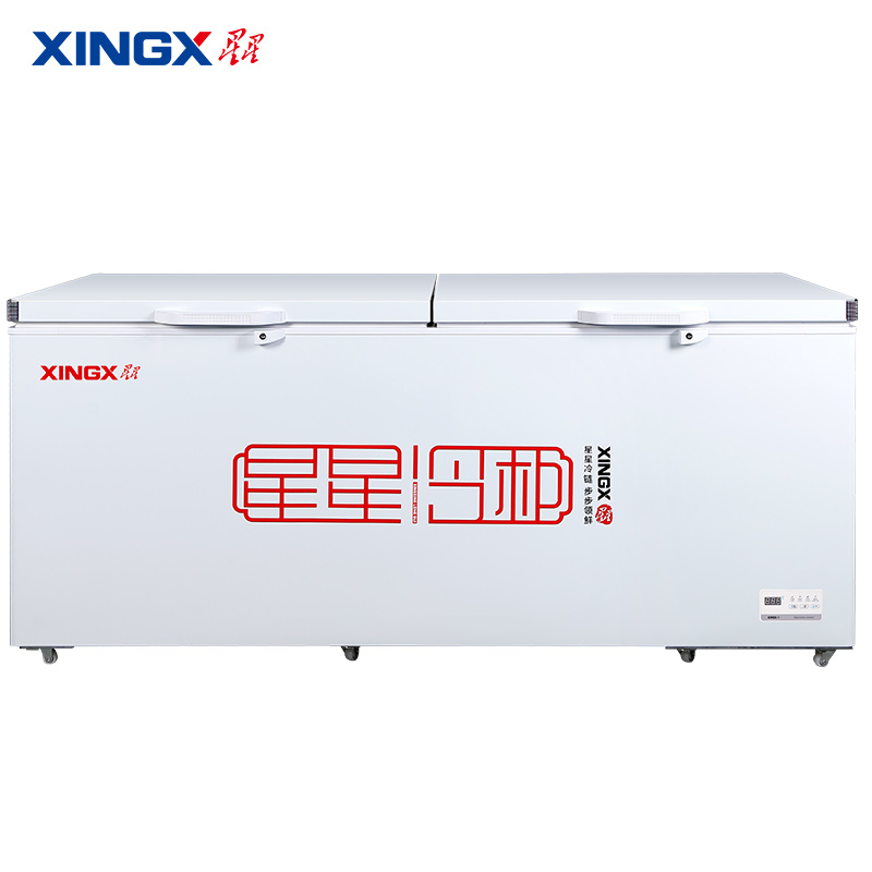 星星（XINGX）888升大容量商用冷柜冷藏冷冻转换保鲜冰柜雪糕丸子肉类速冻雪糕柜BD/BC-888GD
