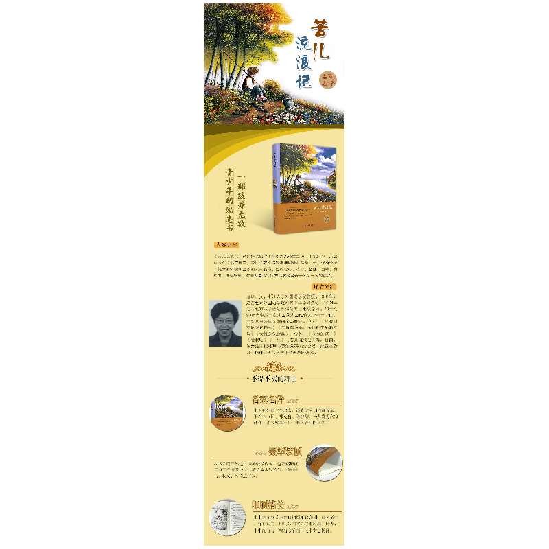 醉染图书苦儿流浪记(精)9787519006037高清大图